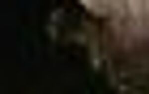 Власникам човнів обмежили можливість виходу в море у кримській Феодосії – не далі ніж 1 км від берега