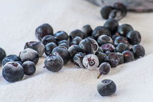 Черника после заморозки может храниться минимум полгода