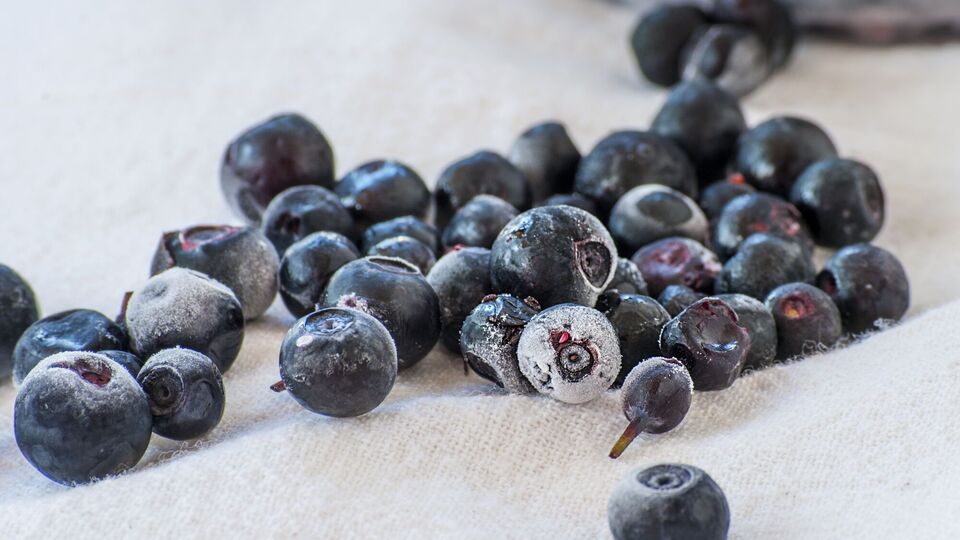 Чорницю після заморожування можна зберігати щонайменше пів року