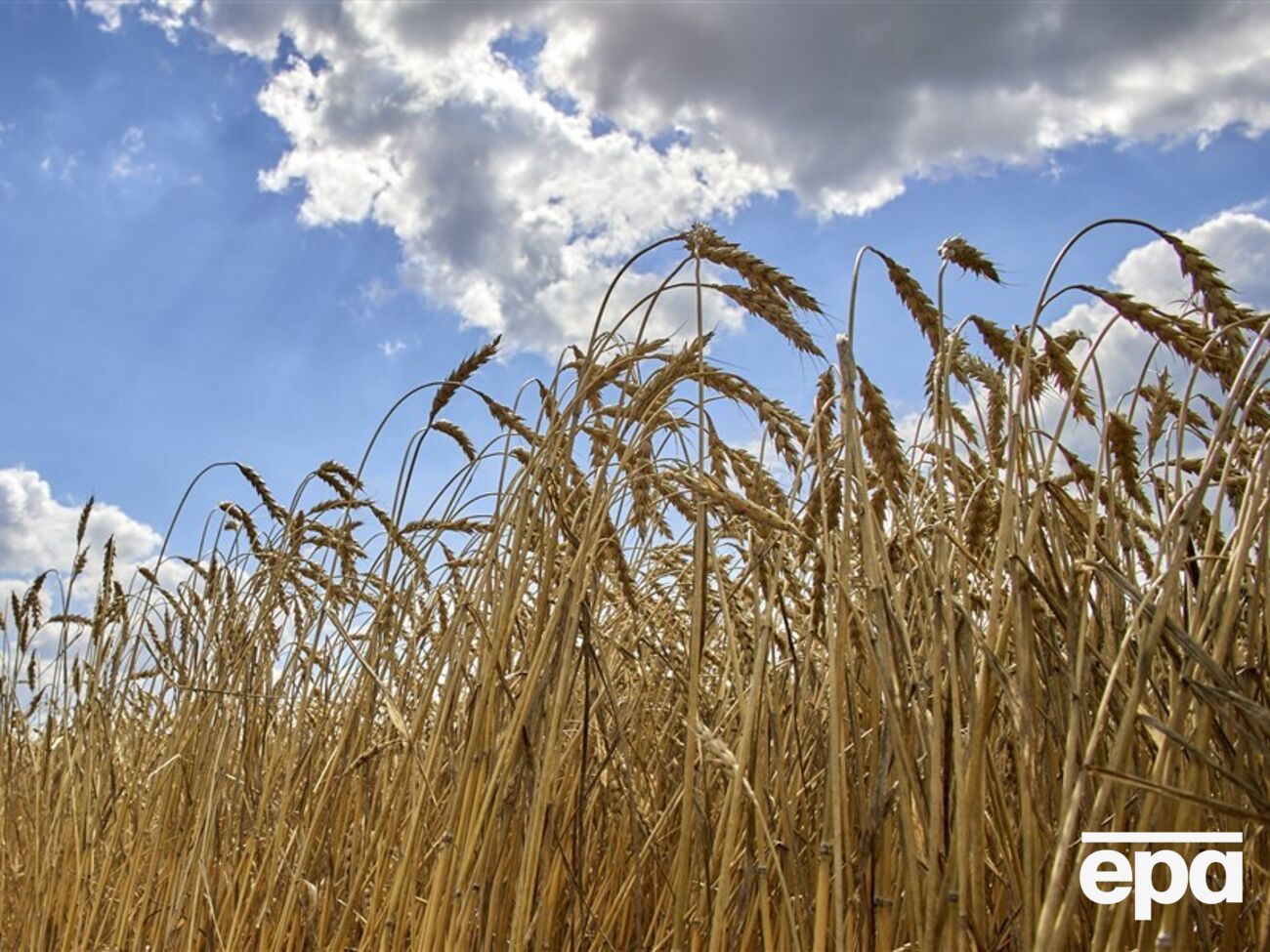 Украина экспортировала 2/3 урожая зерна 2022 года, отметил Сольский