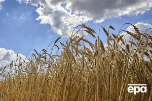 Украина экспортировала 2/3 урожая зерна 2022 года, отметил Сольский