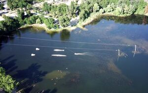 Холерный вибрион обнаружен в харьковском озере во время регулярного мониторинга