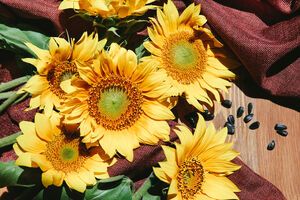 Подсолнечник готовится быстро