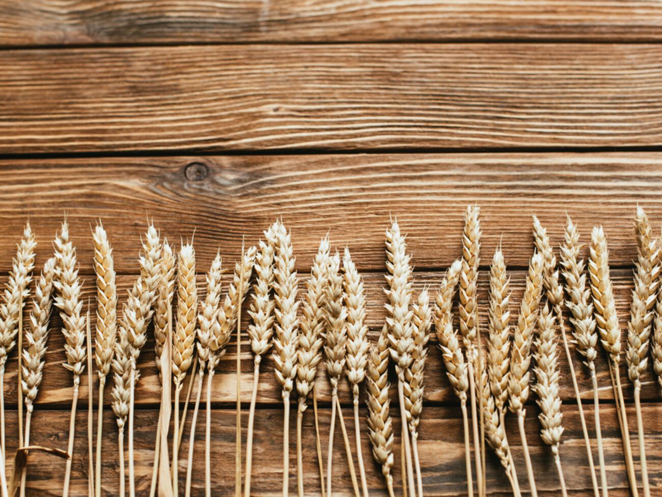 На этой неделе ожидаются переговоры между Бухарестом и Киевом по теме транспортировки зерна