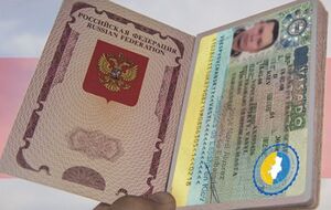 Окончательное решение о въезде граждан РФ принимают пограничники