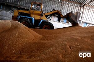 Россия столкнулась с проблемой экспорта собственного зерна, пишет Reuters