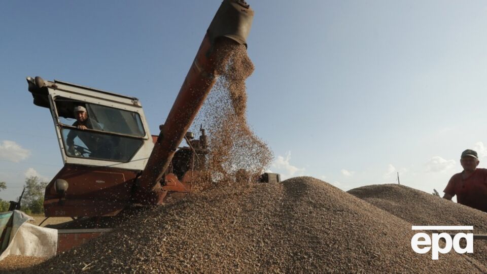 В Польше рассказали, как можно экспортировать украинское зерно