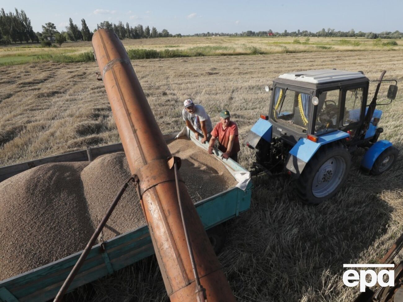 Осужденный помогал оккупантам воровать украинское зерно