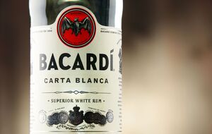 Bacardi сообщила о росте годовой выручки в РФ на 8,5% – до 30 млрд руб. в 2022 году