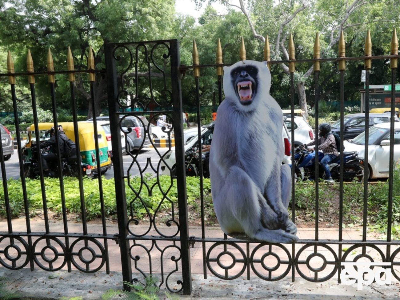 За останні кілька днів у кількох районах Нью-Делі з'явилися фігури лангурів у натуральну величину