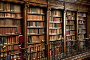 Книжки повернула українка, яка планує виїжджати у США