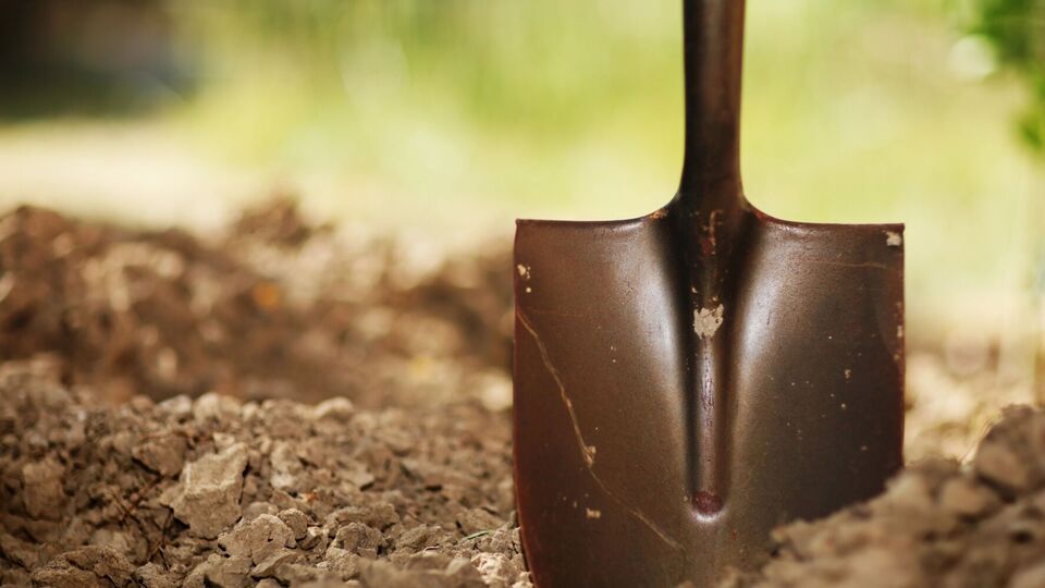 Для известкования можно применять различные удобрения с высоким содержанием кальция