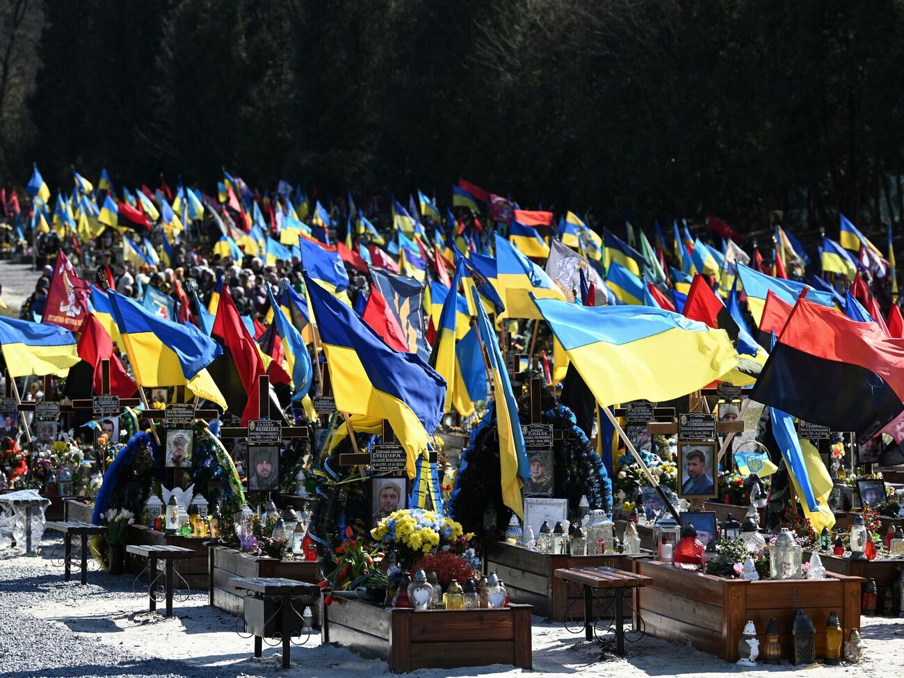 Місце розташування кладовища обирали за низкою критеріїв