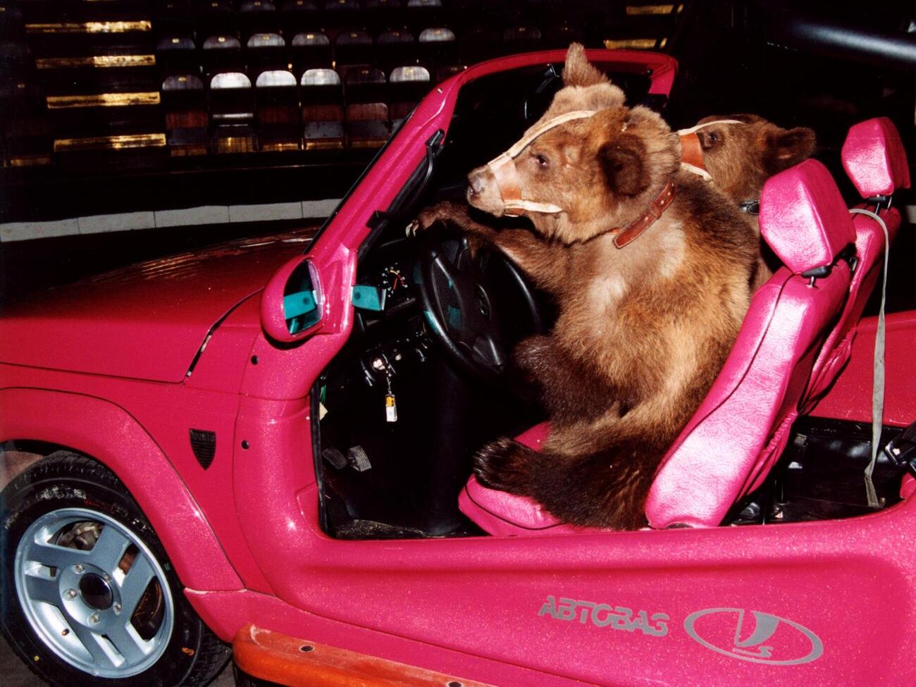 "АвтоВАЗ" находится под санкциями Украины