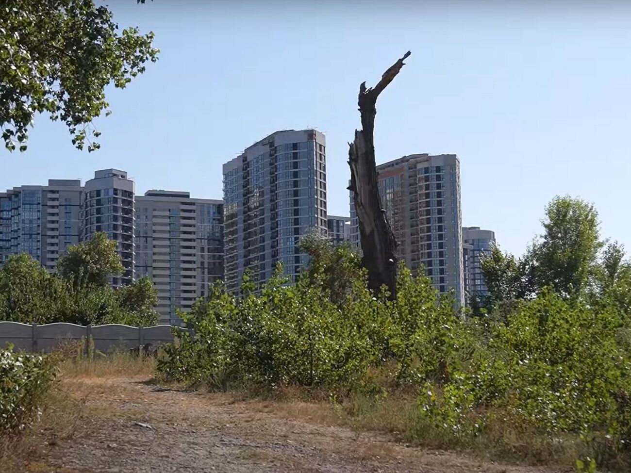 Бывшие фирмы Медведчука арендуют десятки гектаров земли в Киеве