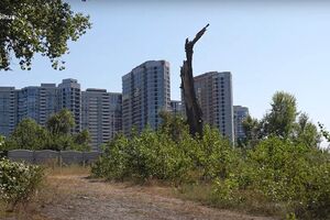 Бывшие фирмы Медведчука арендуют десятки гектаров земли в Киеве