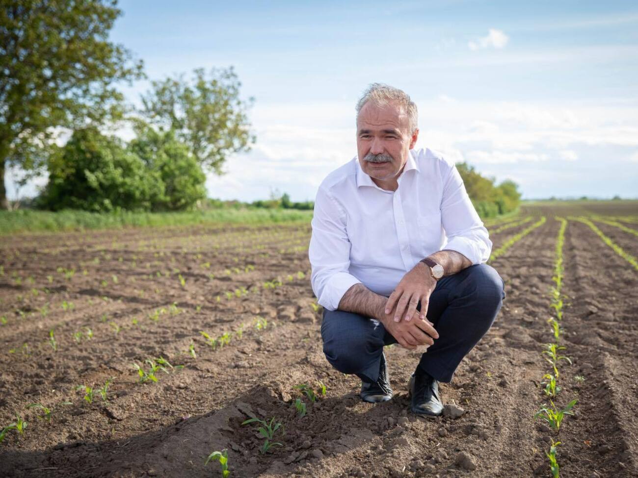 Венгрия, Словакия, Румыния и Болгария продлят запрет до конца 2023 года – Надь