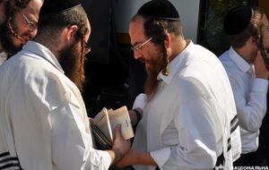 Упродовж останньої перед Рош га-Шана доби в Україну в'їхало понад 10 тис. хасидів