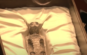 В мексиканском парламенте показали тела якобы инопланетян