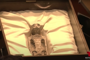 В мексиканском парламенте показали тела якобы инопланетян