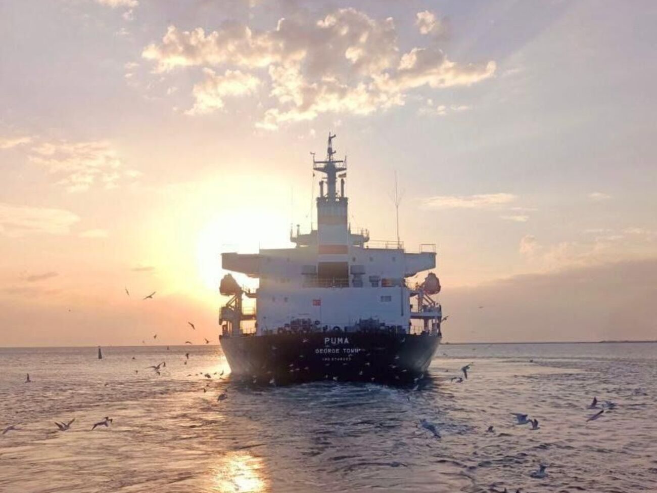 Балкер Puma зайшов до одеського морського порту 19 лютого 2022 року і не міг його покинути через початок бойових дій, зазначив Кубраков