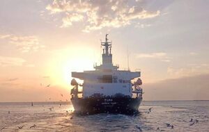 Балкер Puma зашел в одесский морской порт 19 февраля 2022 года и не мог его покинуть из-за начала боевых действий, отметил Кубраков