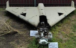 Правоохоронців про знахідку повідомив місцевий житель, який зазначив, що бачив бомбу на дроні