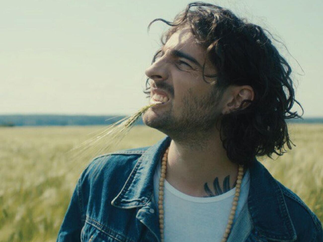 Dantes: Важливе питання. Де Карпачов?