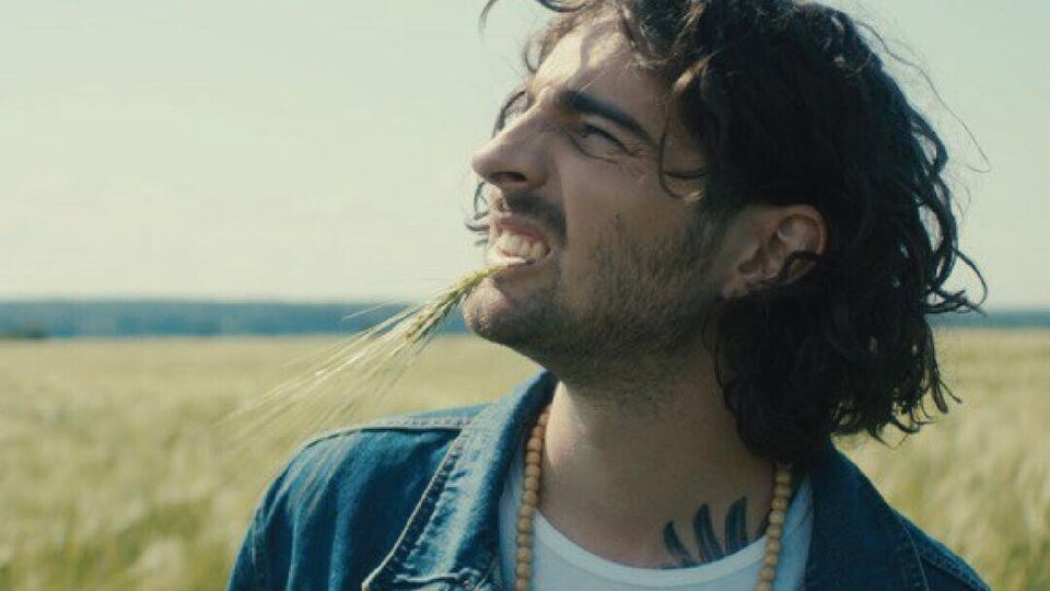 Dantes: Важливе питання. Де Карпачов?