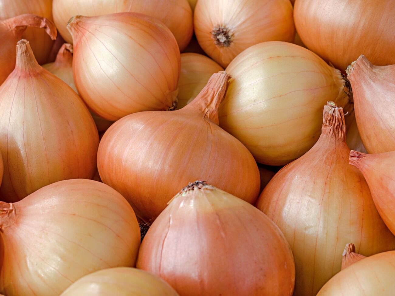 У Мінекономіки України заявляли, що Україна найближчими днями заборонить імпорт цибулі, помідорів, капусти та яблук із Польщі