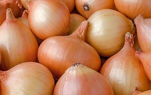 У Мінекономіки України заявляли, що Україна найближчими днями заборонить імпорт цибулі, помідорів, капусти та яблук із Польщі