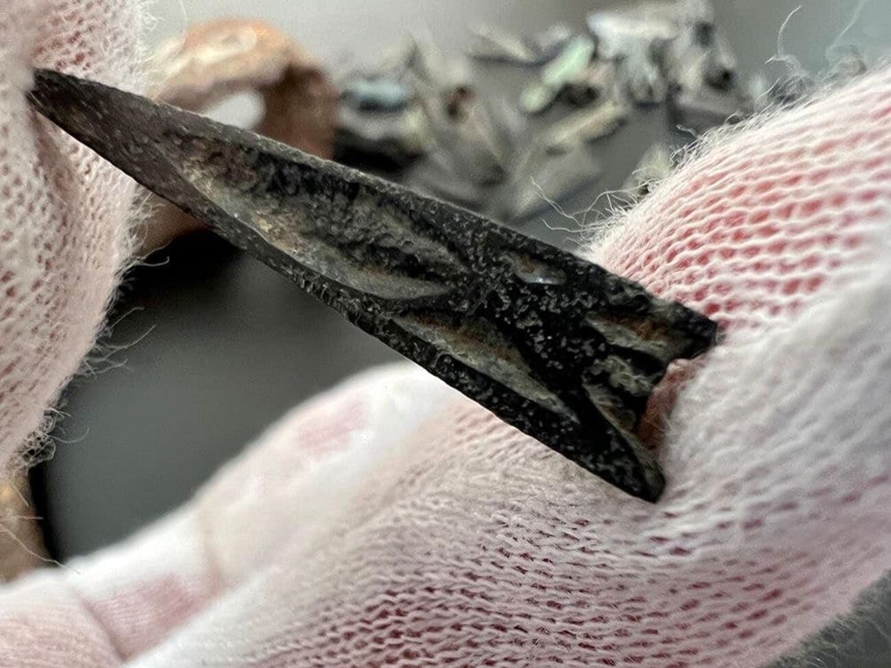 В посылках найдено оружие скифских времен