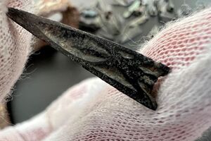 В посылках найдено оружие скифских времен