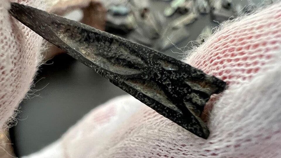 У посилках виявлено зброю скіфських часів