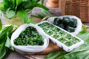 Базилик можно заморозить несколькими способами