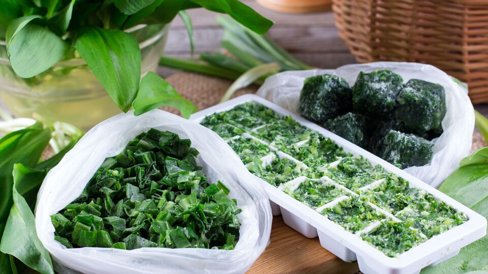 Базилик можно заморозить несколькими способами