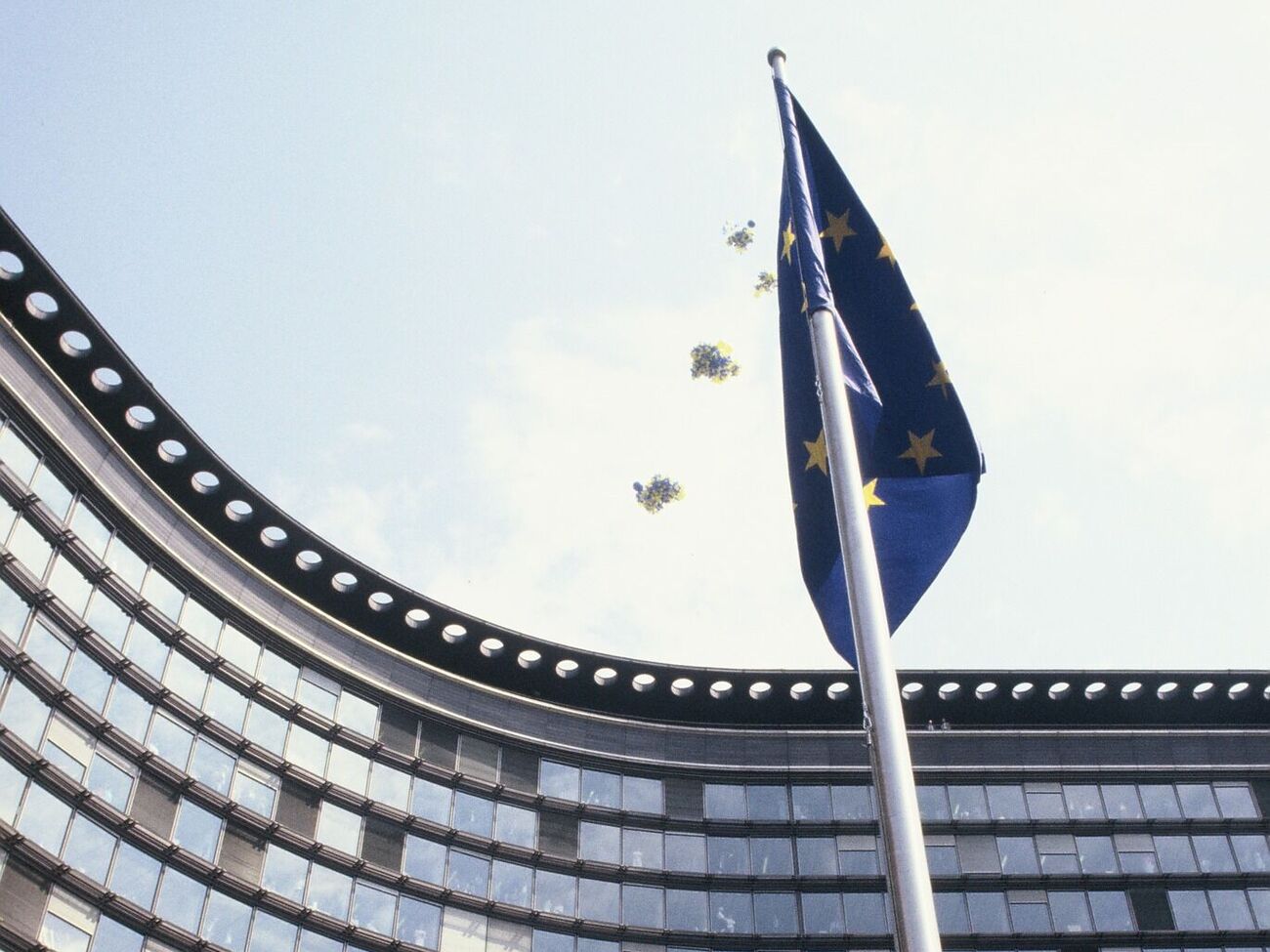 Временная защита продлена до 4 марта 2025 года