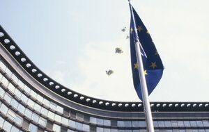 Временная защита продлена до 4 марта 2025 года