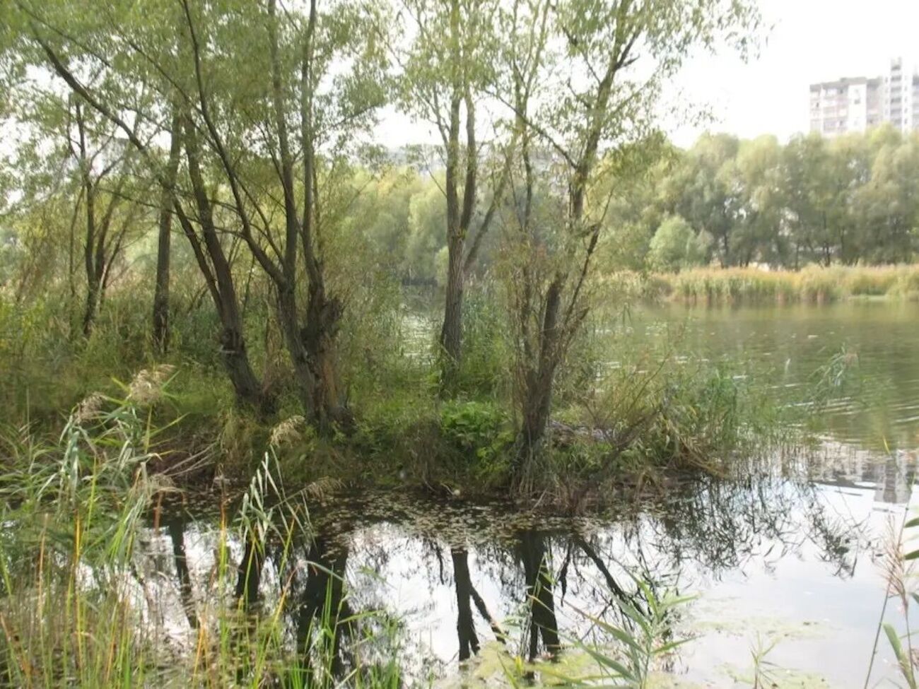 Заповедники созданы только на бумаге, а борьба за экологию превратилась в рэкет, заявила автор статьи на сайте УНИАН