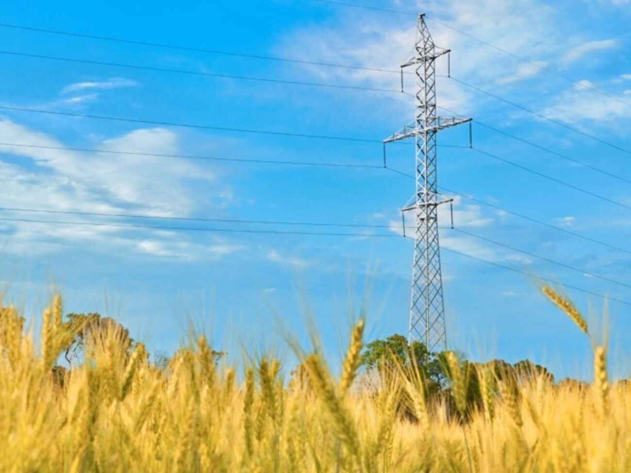 Диверсифицированный подход поможет снизить финансовую нагрузку на страну и осуществить долгосрочную модернизацию сетей, пояснили в ДТЭК