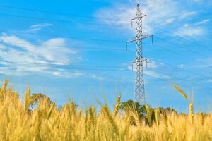 Диверсифицированный подход поможет снизить финансовую нагрузку на страну и осуществить долгосрочную модернизацию сетей, пояснили в ДТЭК