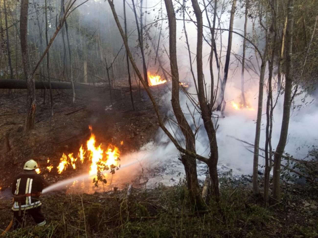 За даними рятувальників, вогонь ліквідовано