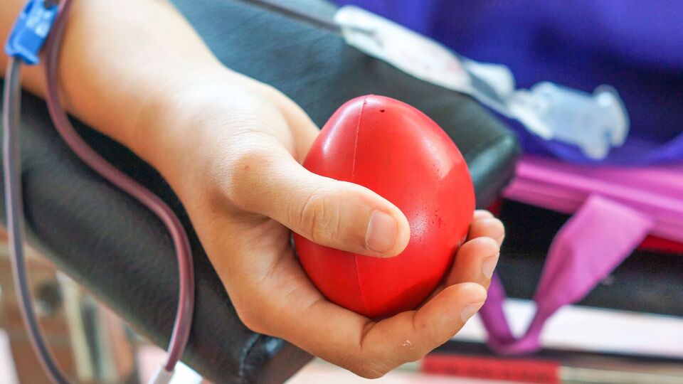 Уряд ухвалив рішення щодо переливання крові