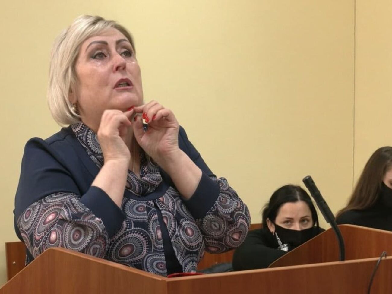 Штепа обвиняется в посягательстве на территориальную целостность Украины и создании террористической организации. Свою вину она не признает