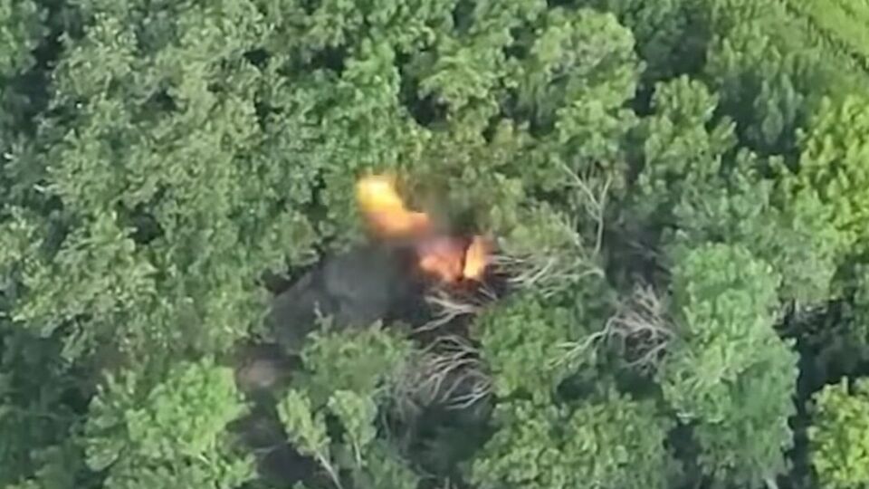 Силы обороны Украины поразили неудачно замаскированный в лесопосадке танк оккупантов