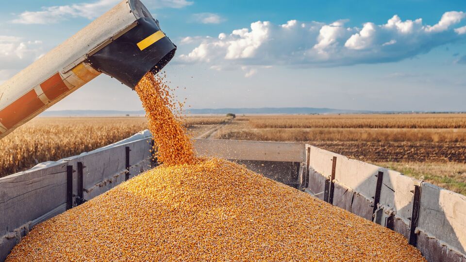 Після виходу РФ із "зернової угоди" Україна займається пошуком альтернативних експортних шляхів