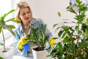 Частиною розчину потрібно обприскати квіти