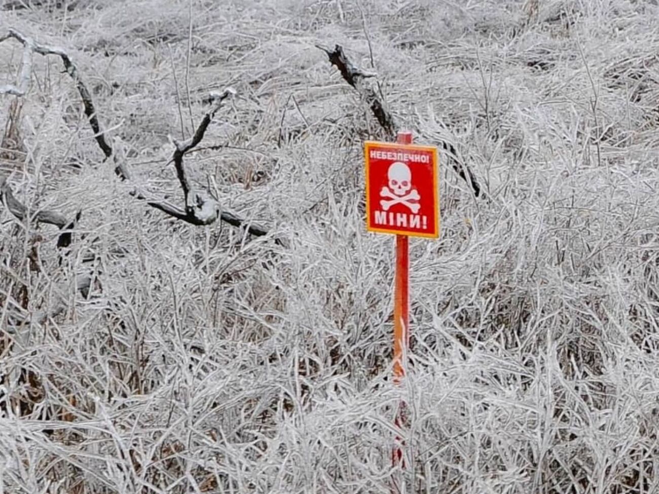 Обезврежено почти 755 тыс. взрывоопасных предметов – МВД