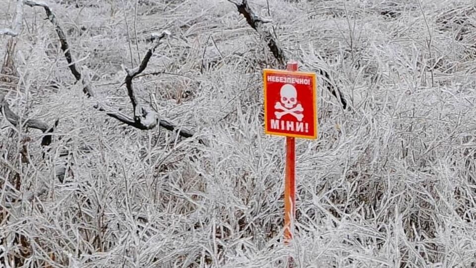 Обезврежено почти 755 тыс. взрывоопасных предметов – МВД