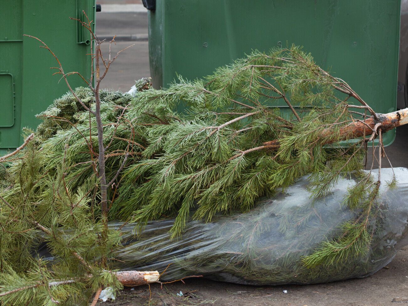 Вам не придется подметать с пола осыпавшиеся иголки после праздников, если предварительно завернете дерево в простыню